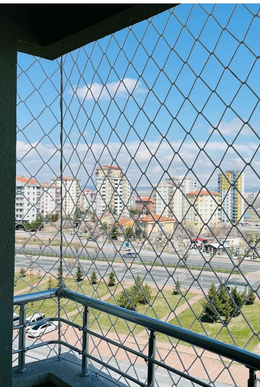 Miyav Kedi Filesi